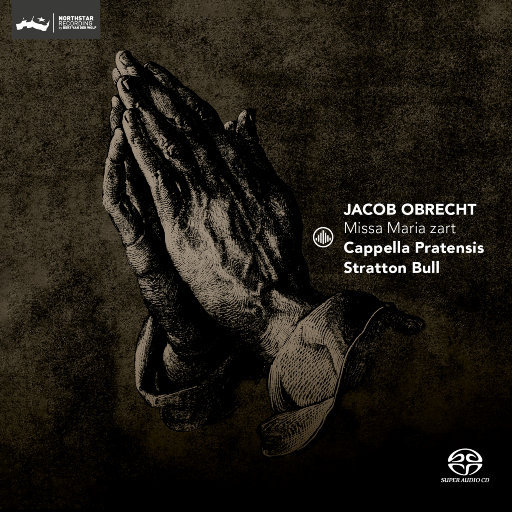 久久91成人免费网站
